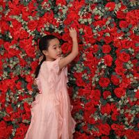 uploads/erp/collection/images/Home Garden/CongDing/XU0611529/img_b/XU0611529_img_b_2